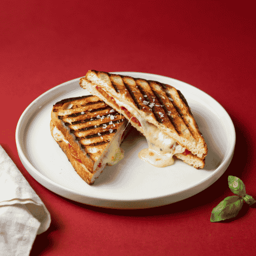 Grilled Cheese Panini New